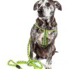 Reflective Stitched Easy Tension Adjustable 2-in-1 Dog Leash and Harness