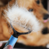 Professional Pet Tool Grooming Brush For Pet Dog Cat Deshedding Tool