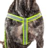 Reflective Stitched Easy Tension Adjustable 2-in-1 Dog Leash and Harness